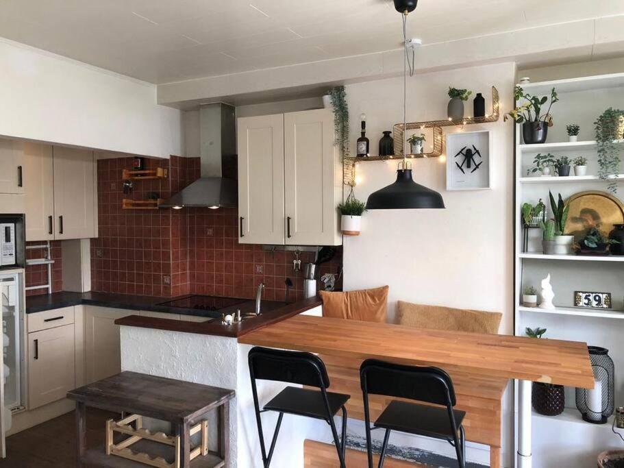Studio Zeezucht Blankenberge Dış mekan fotoğraf