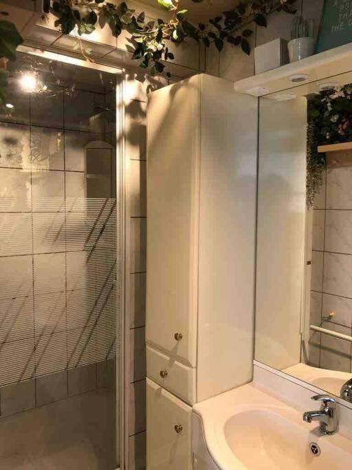 Studio Zeezucht Blankenberge Dış mekan fotoğraf