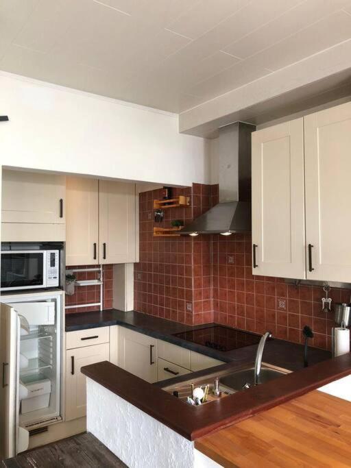 Studio Zeezucht Blankenberge Dış mekan fotoğraf