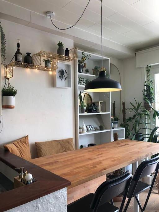 Studio Zeezucht Blankenberge Dış mekan fotoğraf